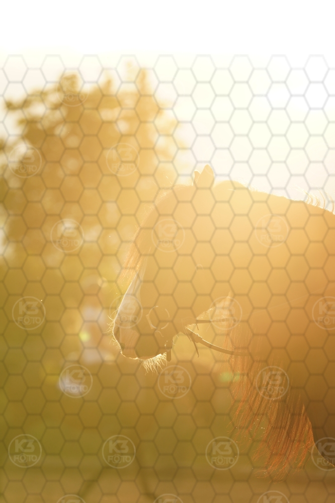 s_A9_03168.jpg